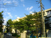 西宮市立　大社中学校 
