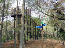 あつぎこどもの森公園