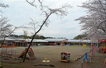 保育園 認定こども園 きぬ学園