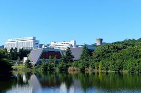 北千里公園の画像1
