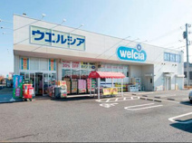 ドラッグストア ウエルシアかすみがうら大和田店
