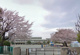 鶴園小学校の画像