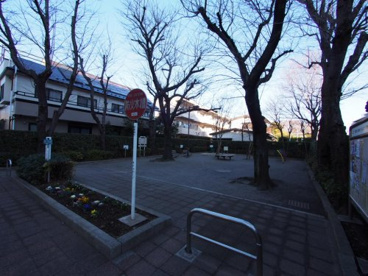 成城七丁目公園の画像1