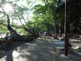 井の頭公園