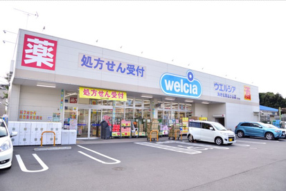 ウエルシア海老名東柏ケ谷店の画像1