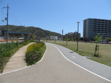 キセラ川西せせらぎ公園の画像1