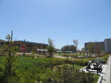 キセラ川西せせらぎ公園の画像2