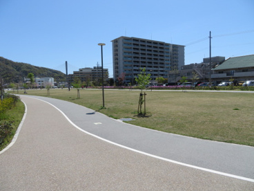 キセラ川西せせらぎ公園の画像3