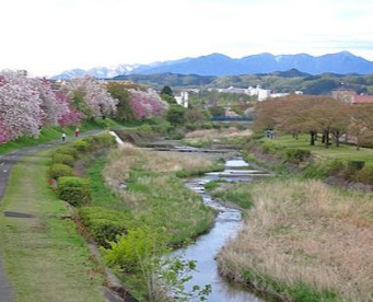 なみき児童遊園の画像1