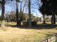 畑町公園の画像
