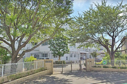 横浜市立和泉小学校の画像1