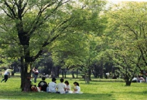 久宝寺緑地