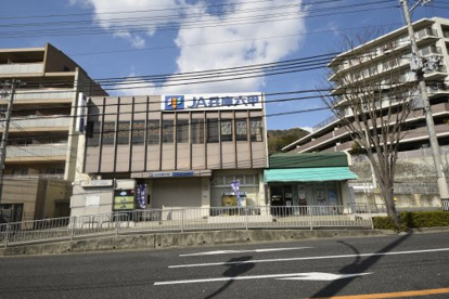 ＪＡ兵庫の画像1