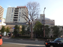ロンハーマン福岡店RHcafe