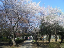 八千代市立南高津小学校