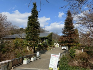 北山緑化植物園の画像1
