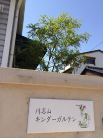 川名山キンダーガルテンの画像1
