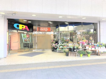 藤沢OPA(オーパ)の画像1