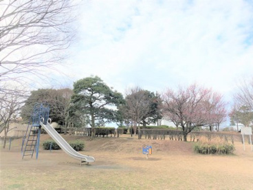奥田公園の画像2