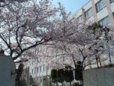 玉川小学校