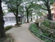 北沢川緑道の画像