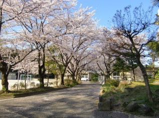 市川市立大町小学校の画像1