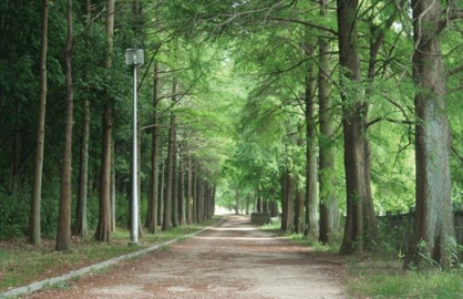 光明池緑地の画像1