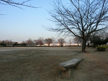 若宮公園の画像1