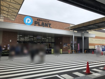 PLANT 高島店の画像2