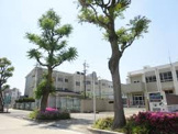 白鳥小学校