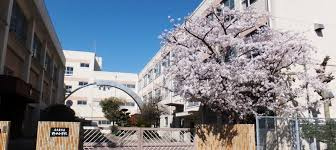 野田小学校の画像1