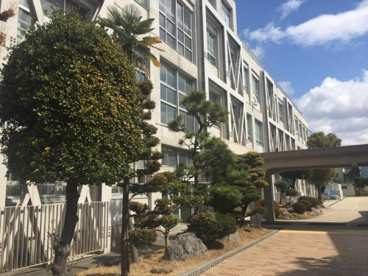 西築地小学校の画像1