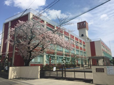 神宮寺小学校の画像1