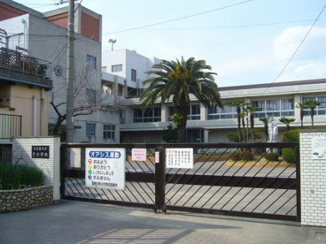 宝小学校の画像1
