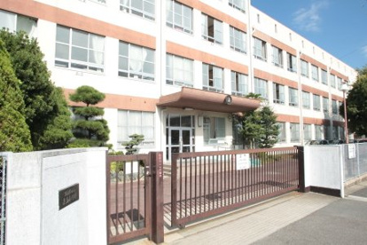 表山小学校の画像1