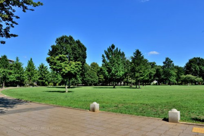 都立武蔵国分寺公園泉・北東口の画像1