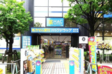 ハックドラッグ綱島店
