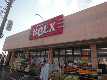 BeLX(ベルクス) 柏つくしが丘店の画像1