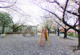 上池袋さくら公園の画像