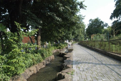 野川緑地公園の画像1