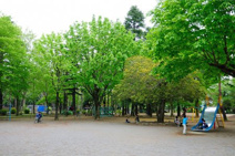 昭和公園