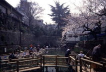 氷川つり堀公園