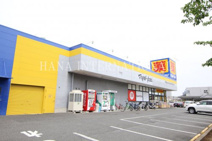 ドラッグストア マツモトキヨシ 柏高柳駅前店