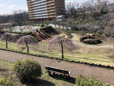 かにが沢公園の画像1