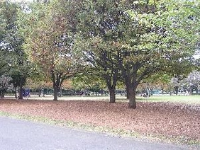 新小岩公園の画像1