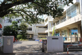 市立大柏小学校