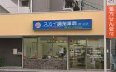 スカイ調剤薬局金山店の画像1