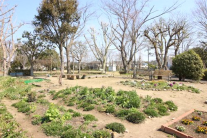 桜ニュータウン中央公園の画像1