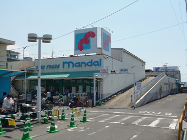 マンダイの画像1