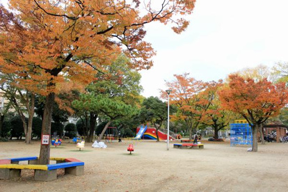 住吉公園の画像1